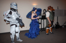 ValleyCon 37 - 2011